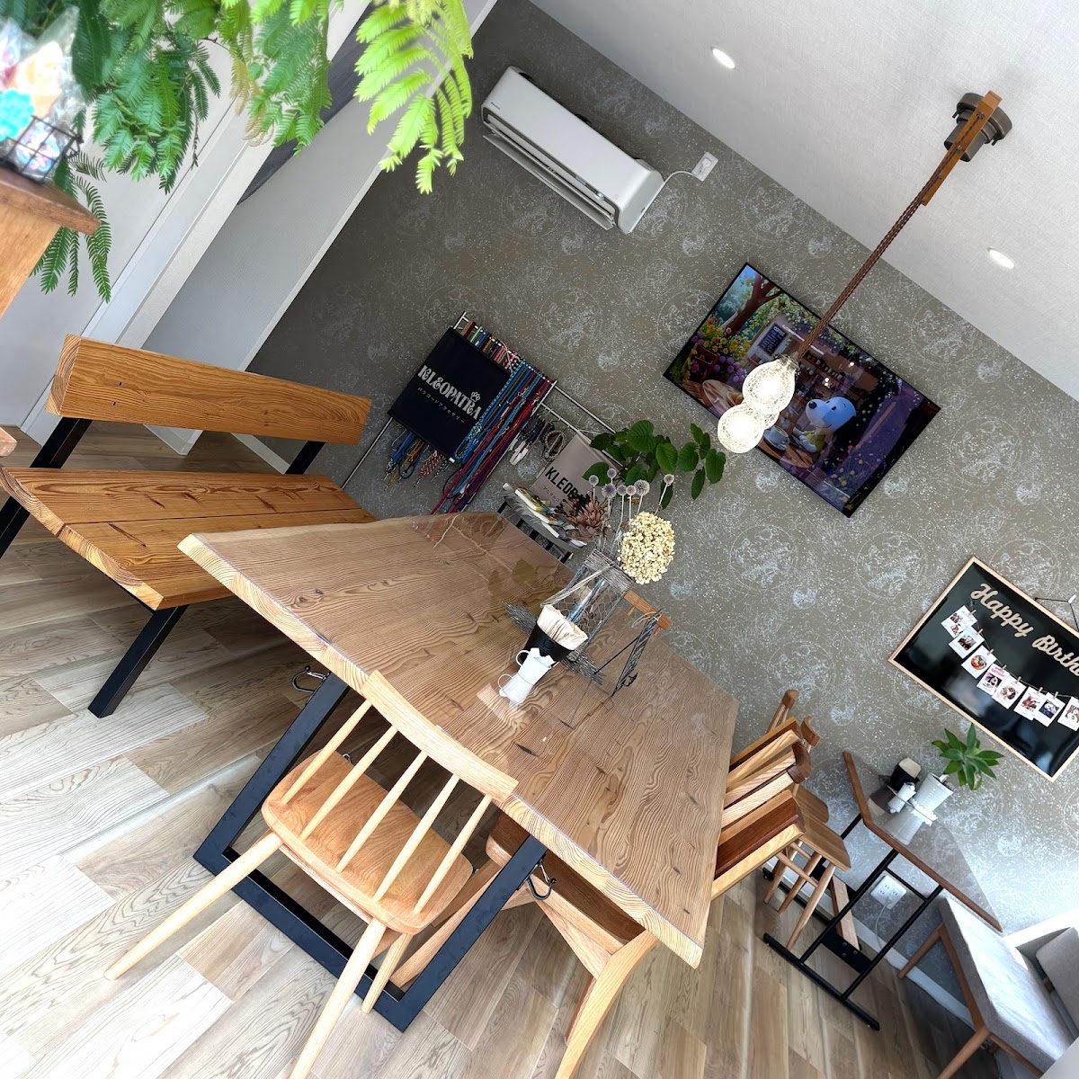 Serendipity*DogCafe