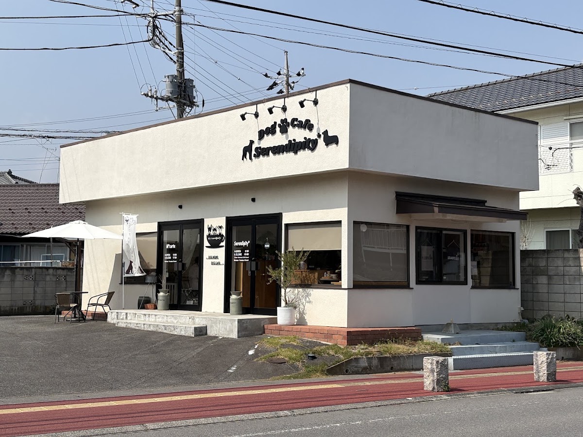 Serendipity*DogCafeの実際の写真