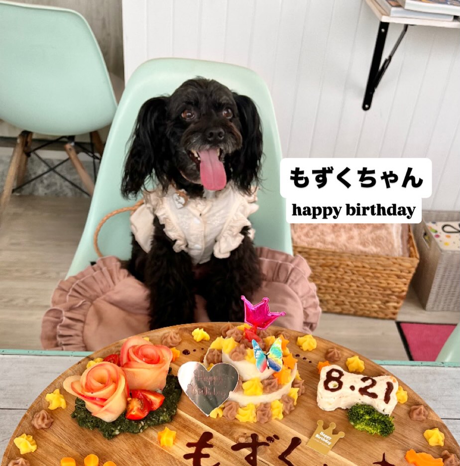 Dog Cafe Eight ドッグ カフェ エイトの実際の写真