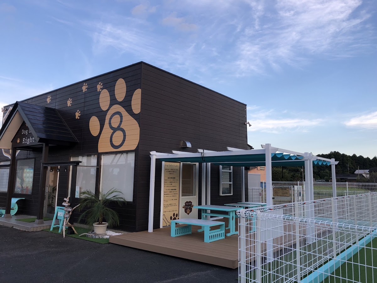 Dog Cafe Eight ドッグ カフェ エイトの実際の写真