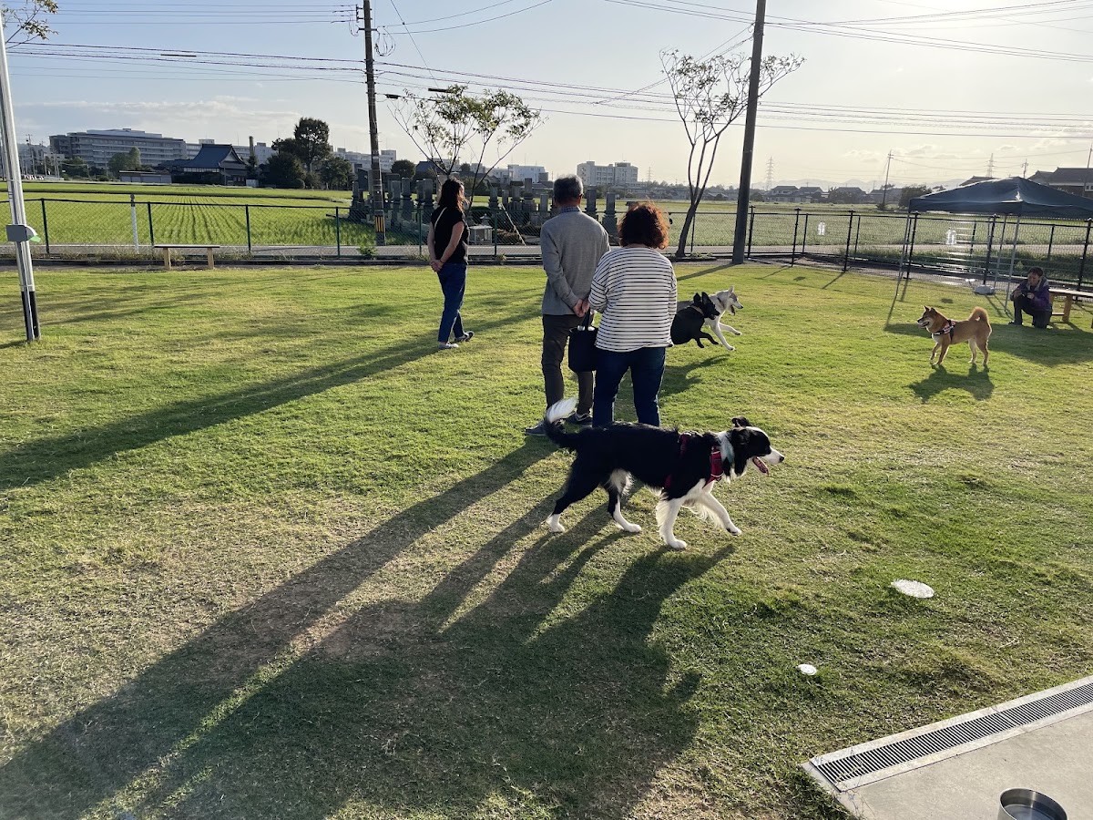 わんらんどの実際の写真