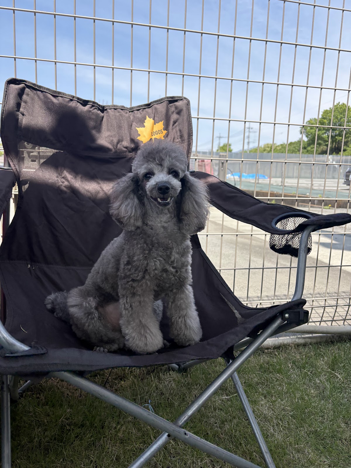 DOGGY'S PARKの実際の写真