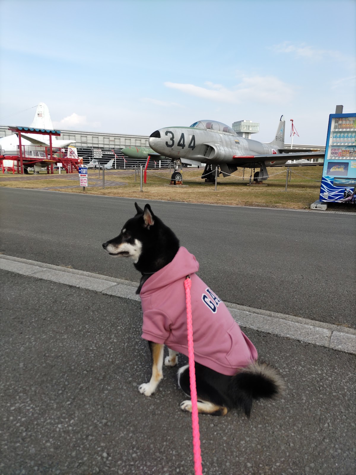 三沢航空科学館 ドッグランの実際の写真