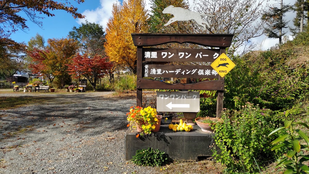 清里わんわんパークの実際の写真