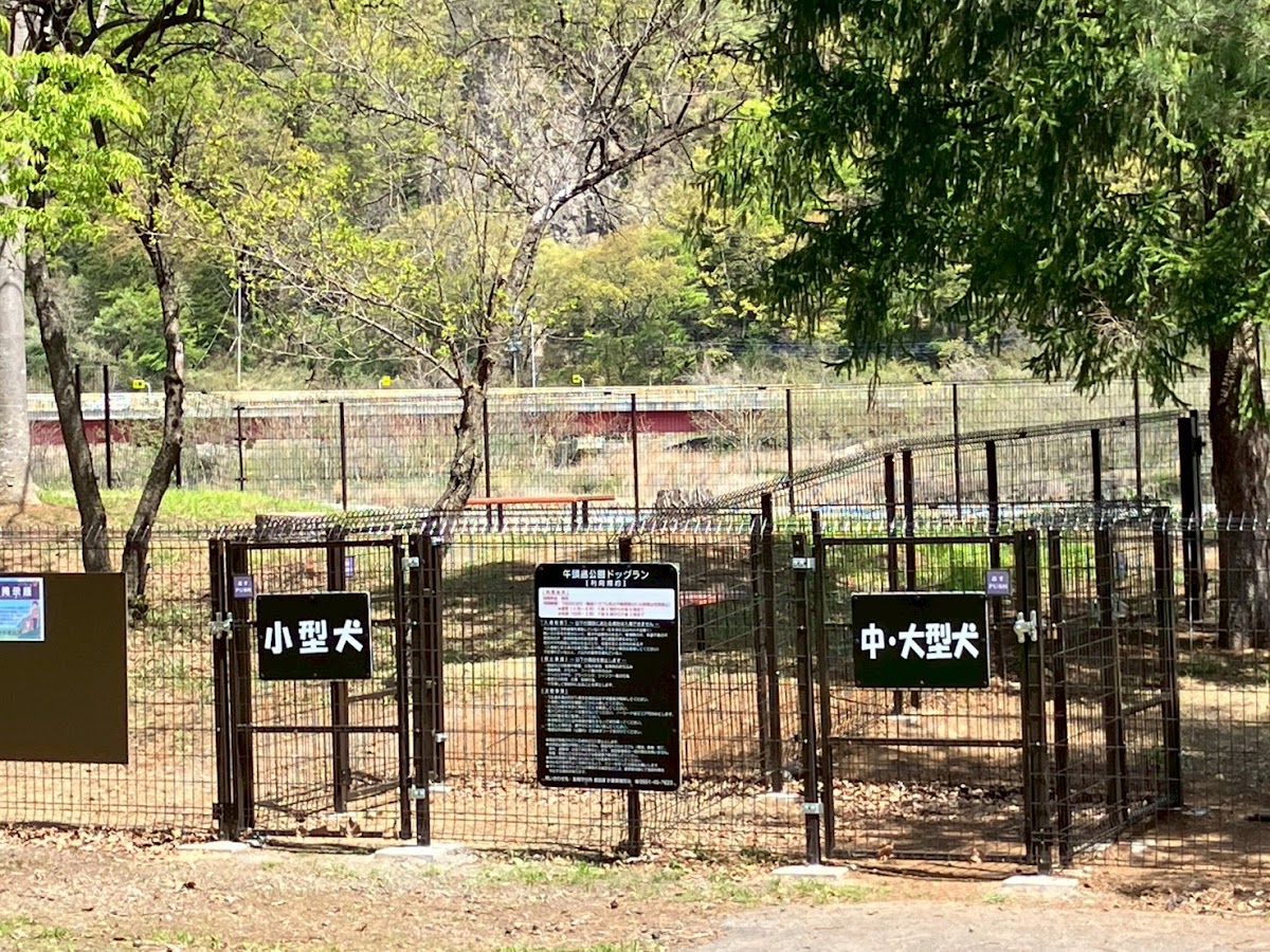 午頭島公園ドッグランの実際の写真