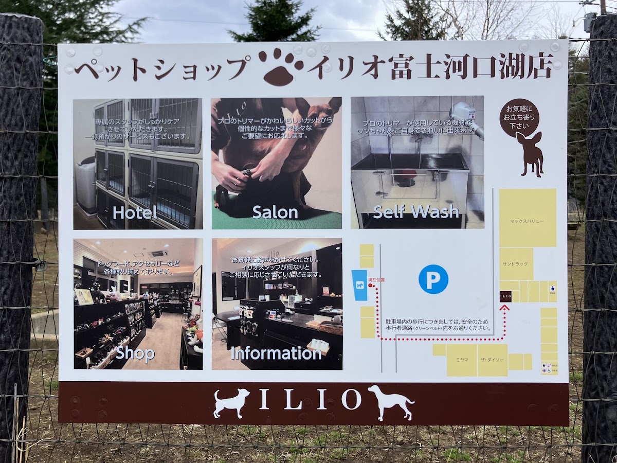 無料ドッグランILIOの実際の写真