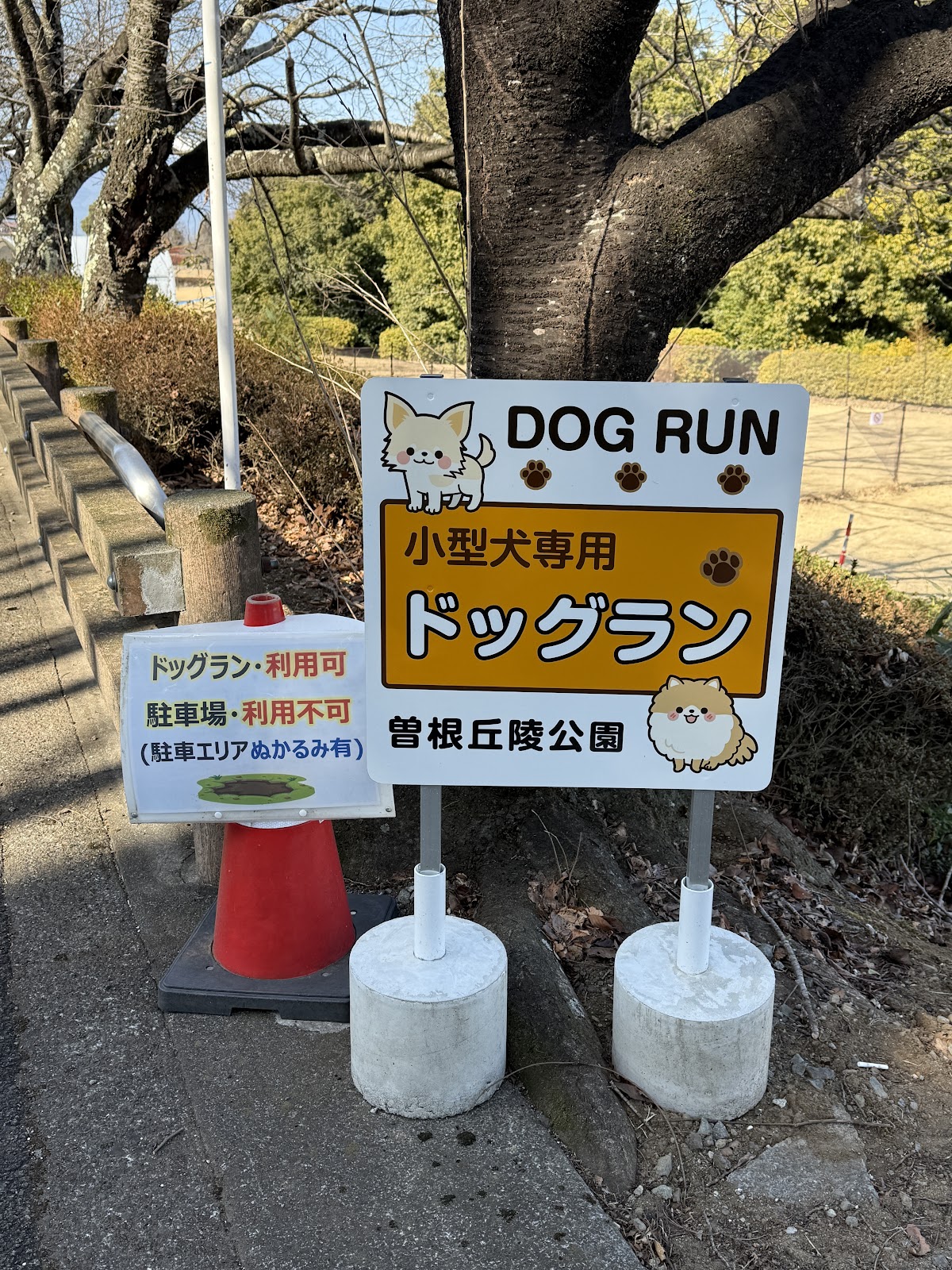 曽根丘陵公園ドックラン
