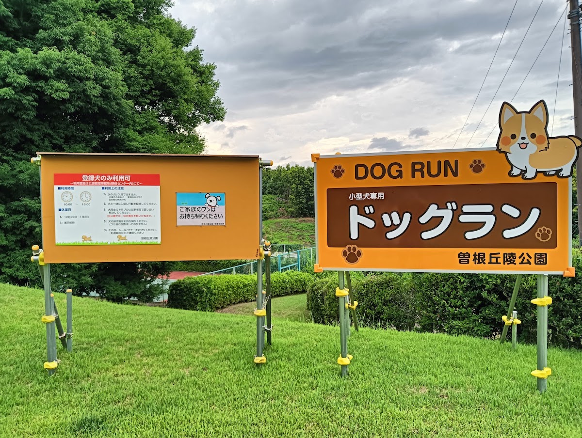 曽根丘陵公園ドックランの実際の写真