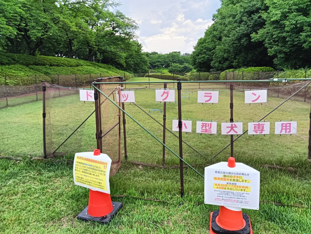 曽根丘陵公園ドックランの実際の写真