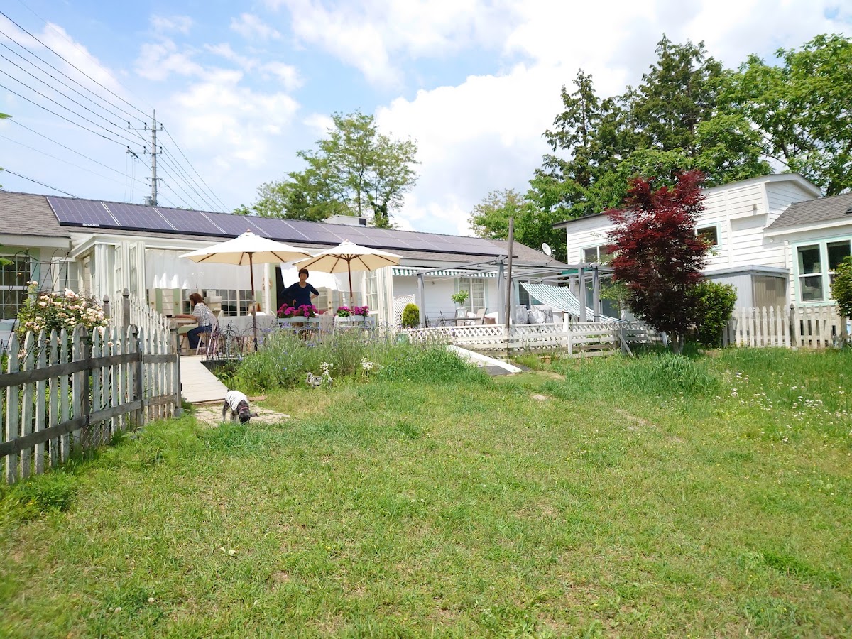 ドッグランカフェ フルールの実際の写真