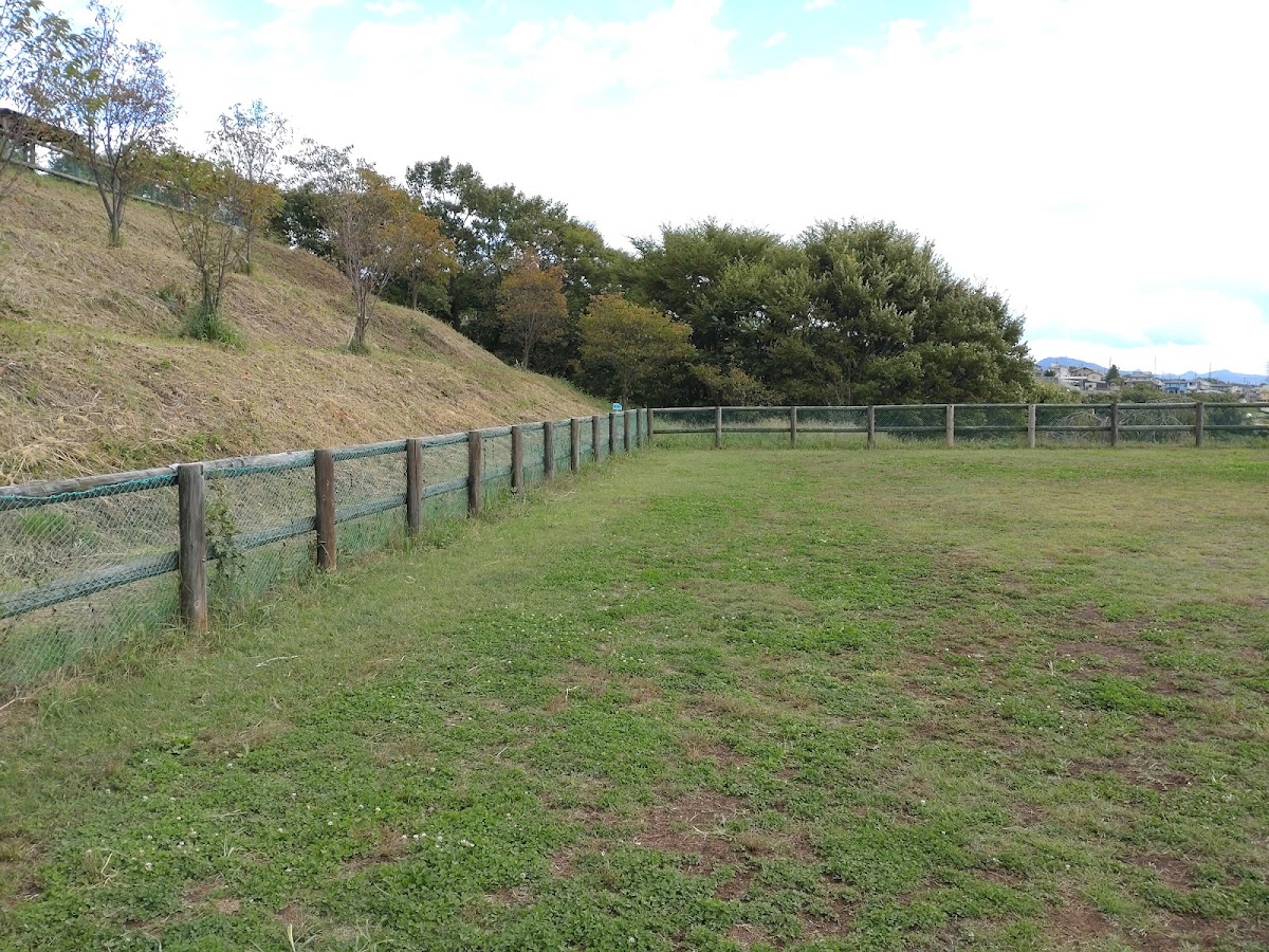 飯綱山公園 ドッグランの実際の写真