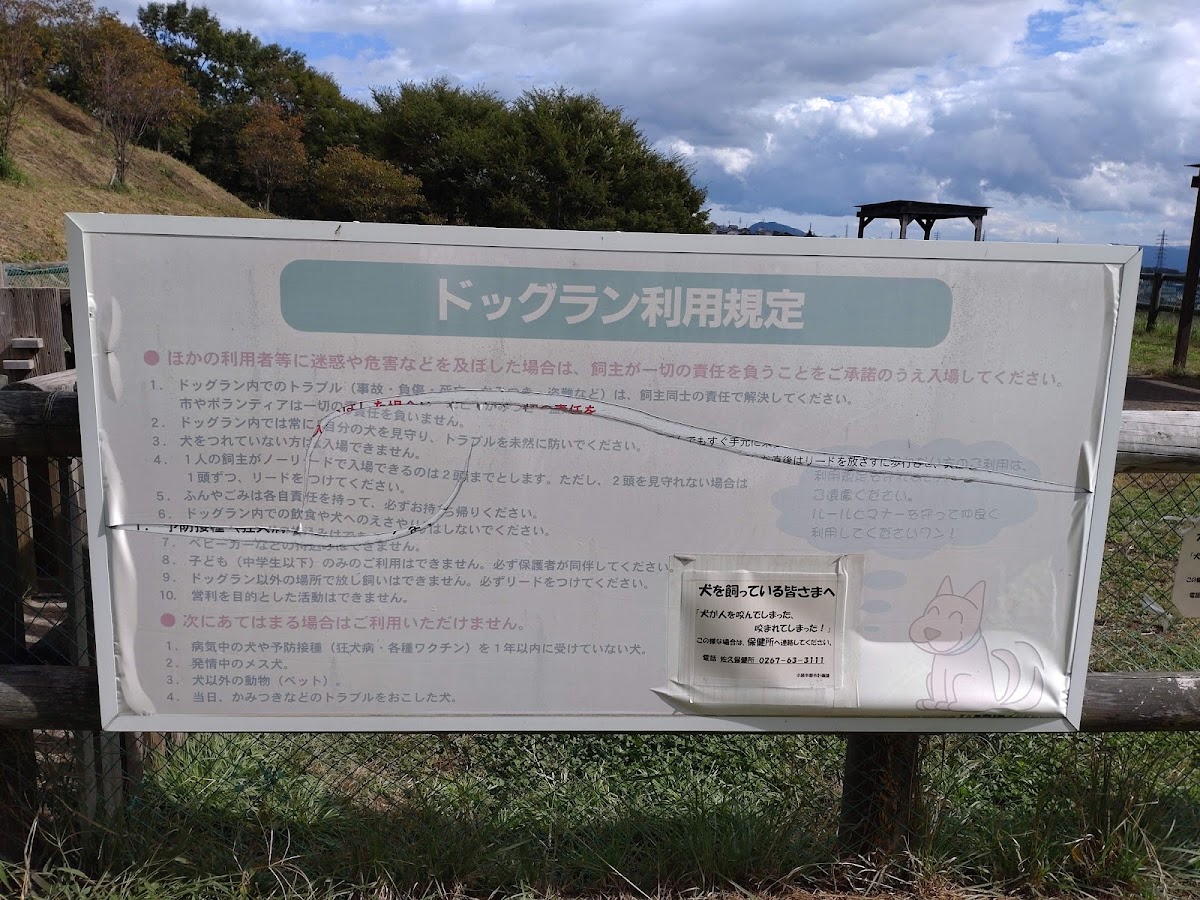 飯綱山公園 ドッグランの実際の写真