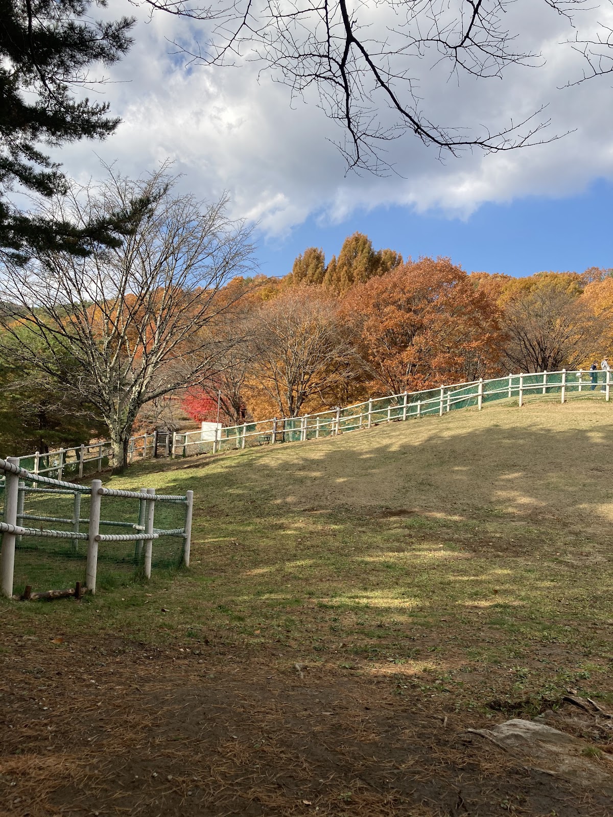 鳥居平やまびこ公園 ドッグラン