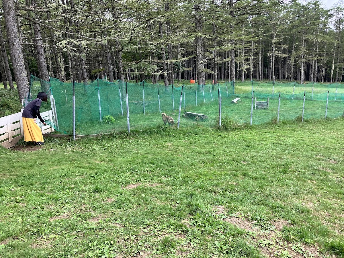 御泉水自然園ドッグランの実際の写真