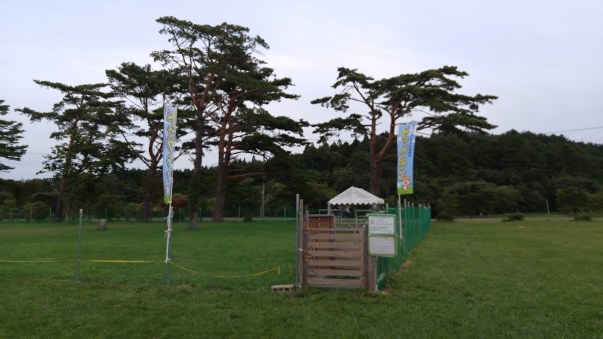 夜越山森林公園ドッグラン
