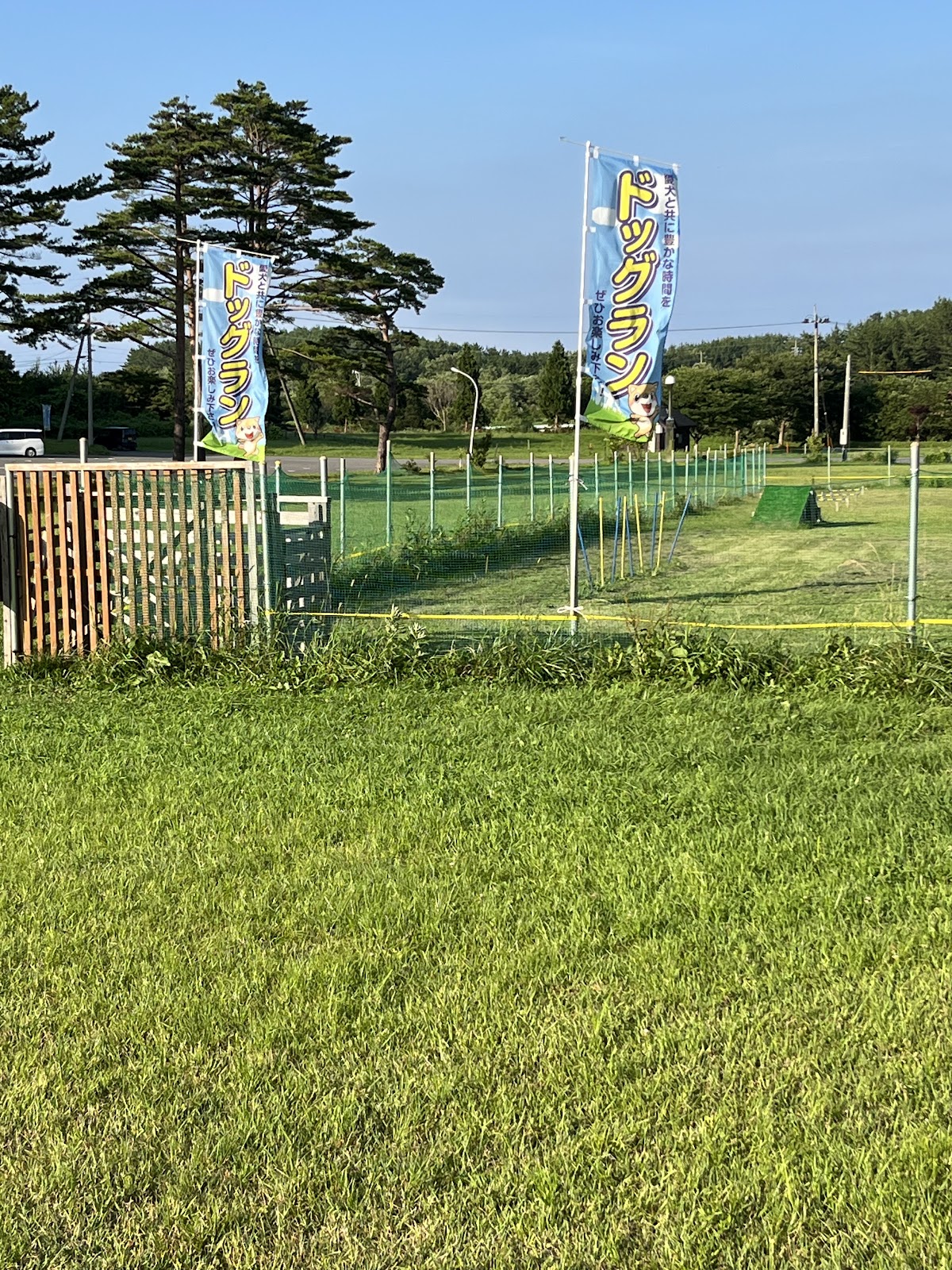夜越山森林公園ドッグランの実際の写真