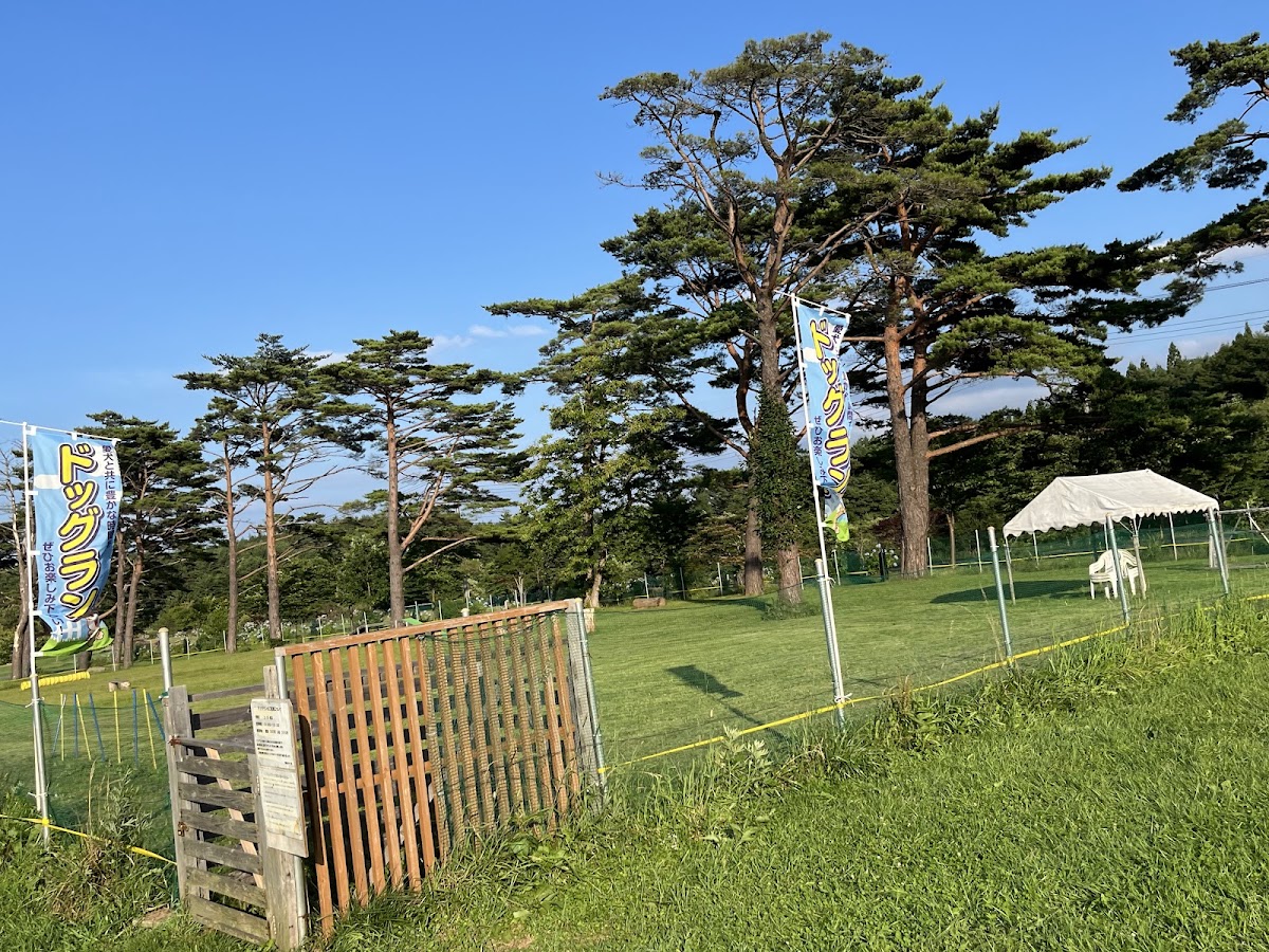 夜越山森林公園ドッグランの実際の写真
