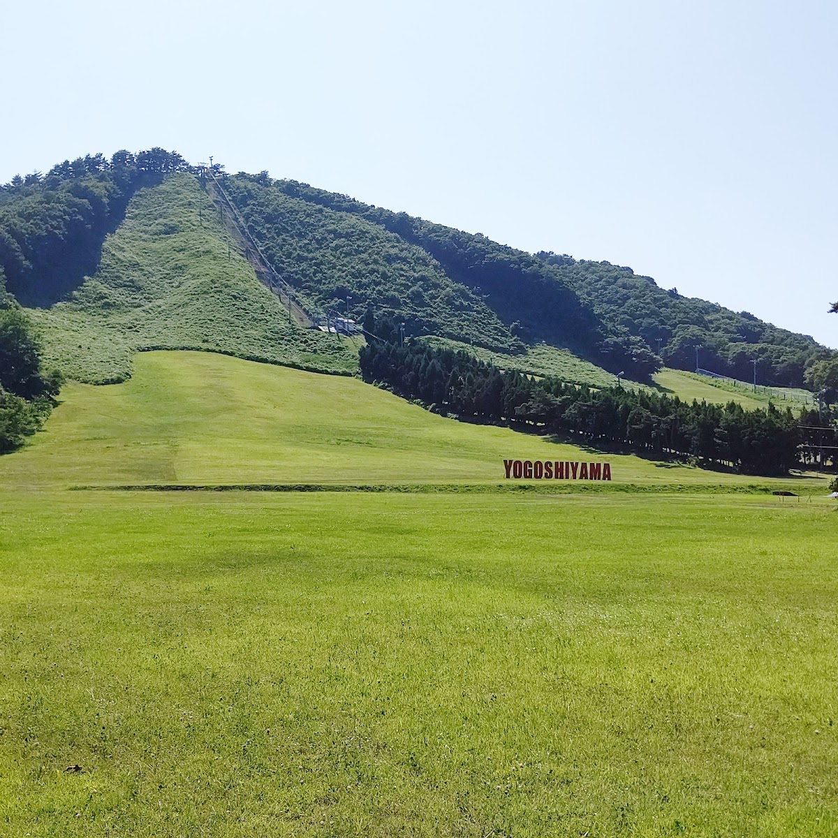 夜越山森林公園ドッグランの実際の写真
