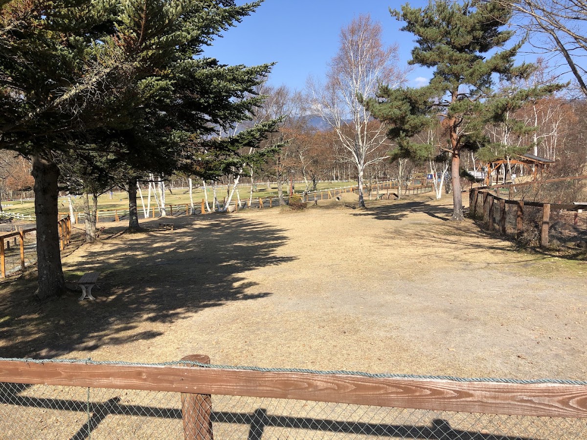 八ヶ岳ドッグラン わんこのお庭の実際の写真