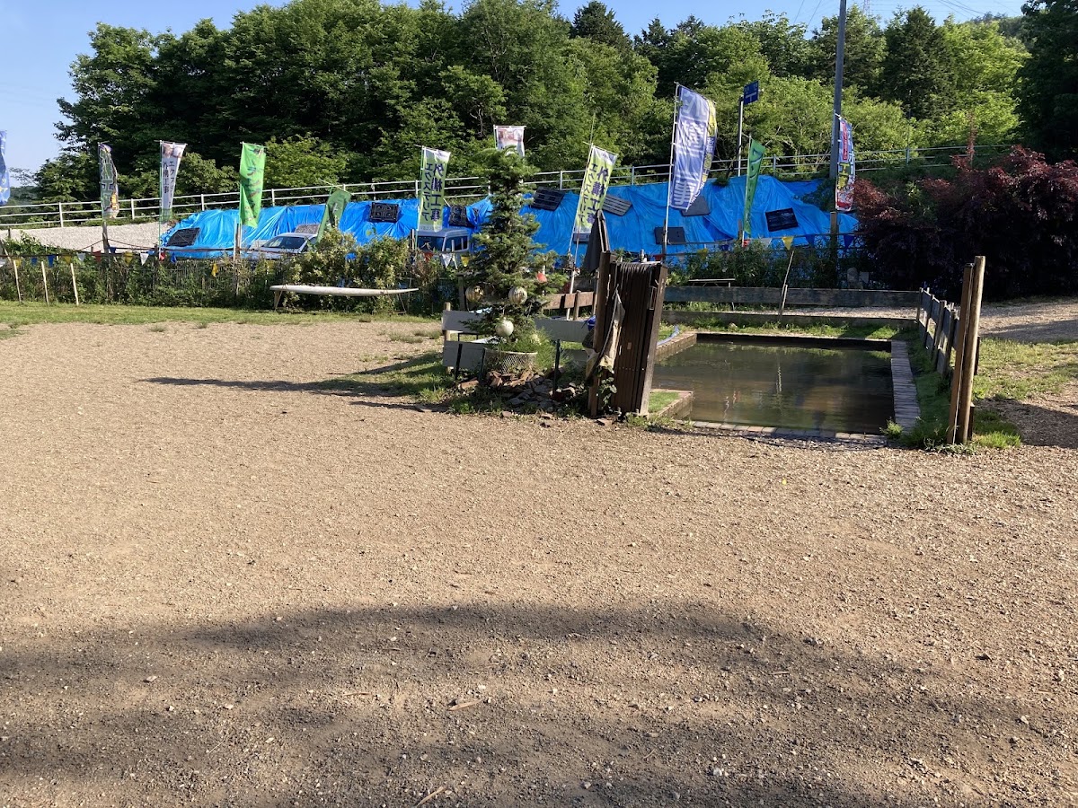 ドッグラン village peopleの実際の写真