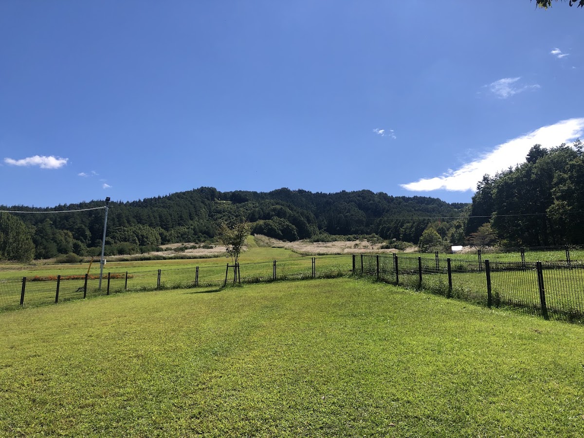 原山市民公園ドッグランの実際の写真