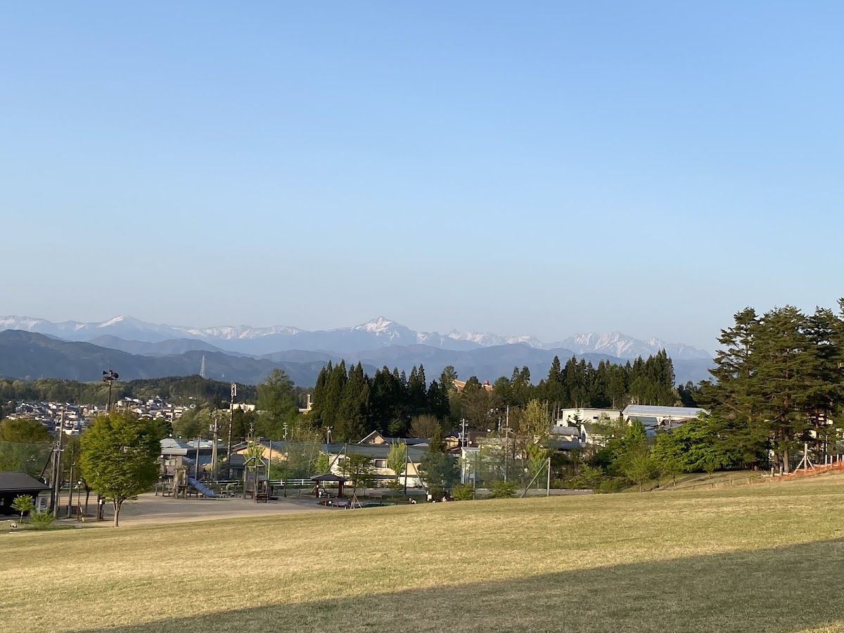 原山市民公園ドッグランの実際の写真