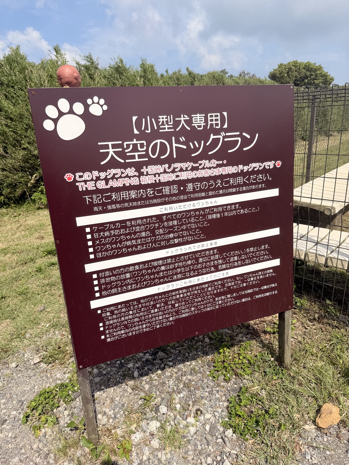 天空のドッグラン(ケーブルカー施設内)の実際の写真
