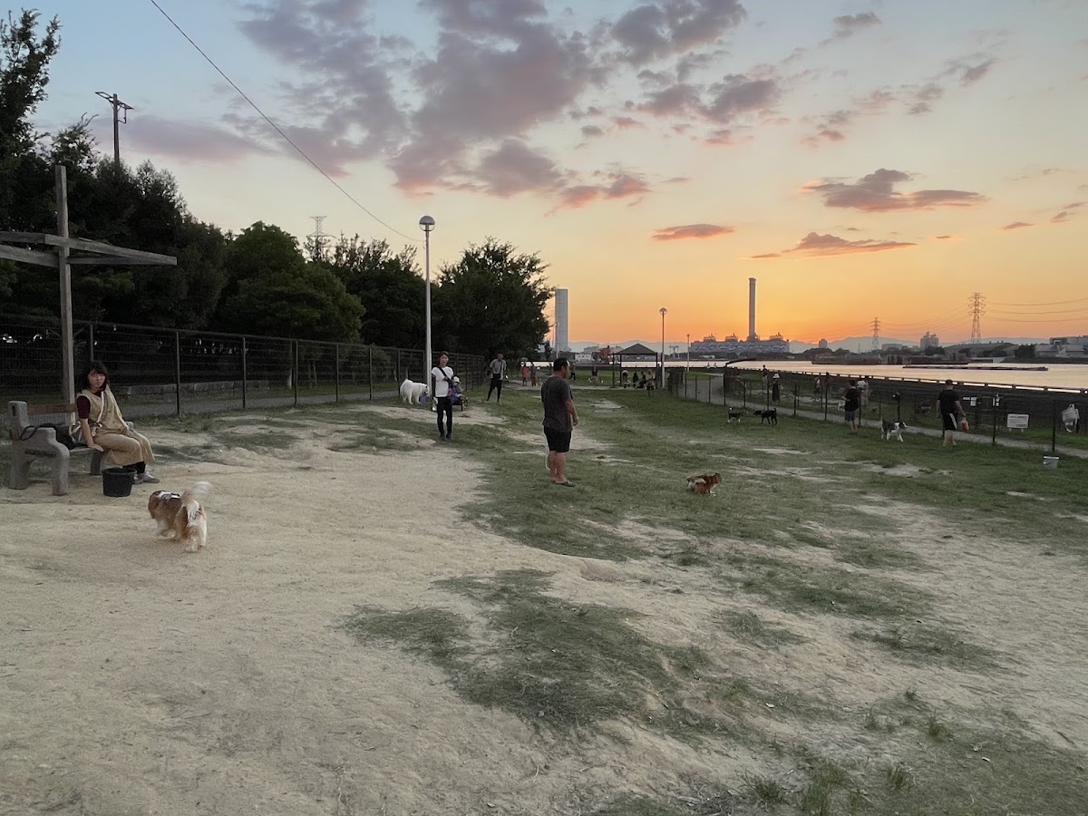 新宝緑地ドッグランの実際の写真