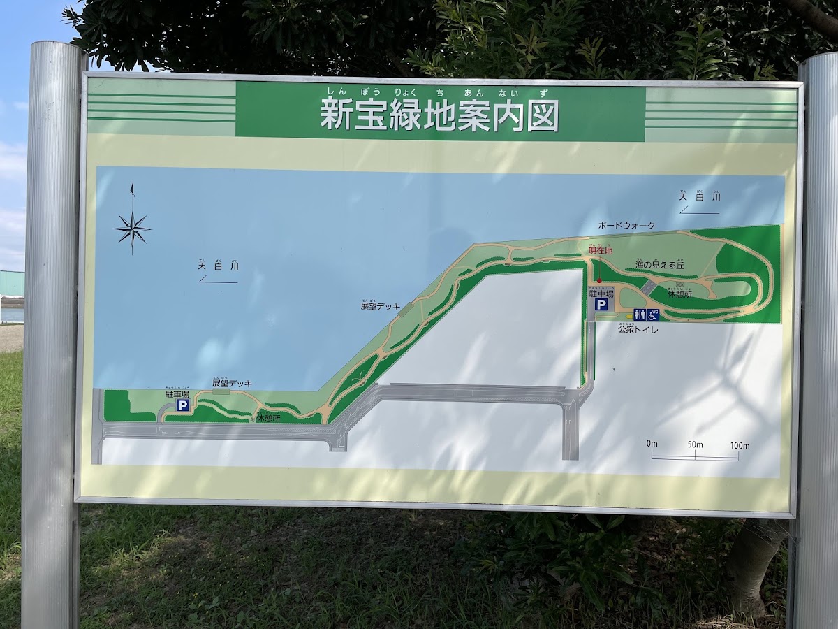 新宝緑地ドッグランの実際の写真