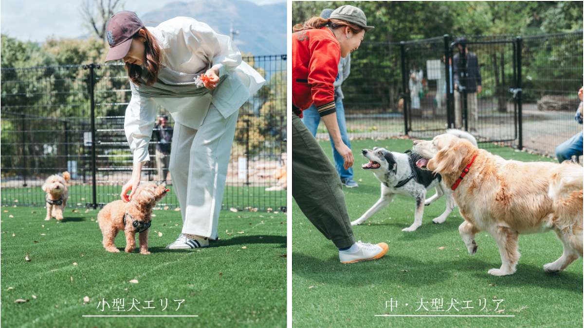 にぎわいの森ドッグランの実際の写真