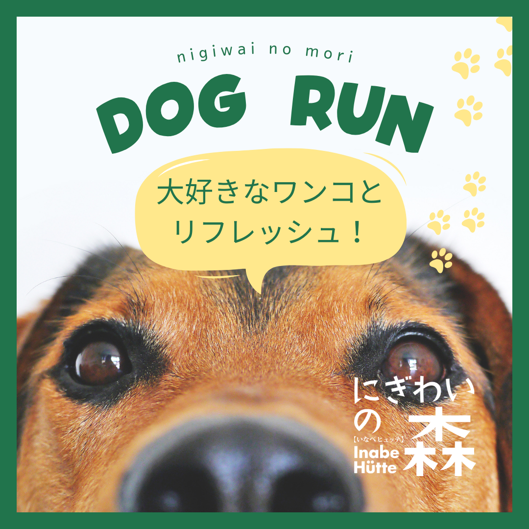 にぎわいの森ドッグランの実際の写真
