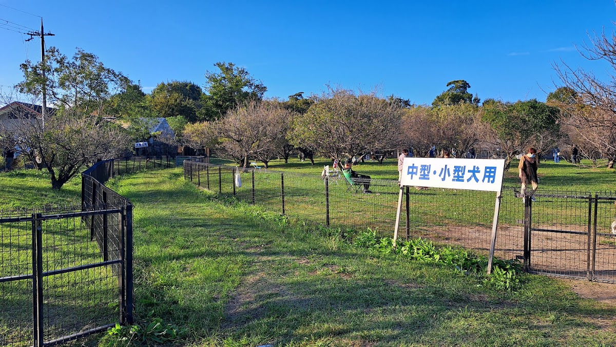 びわこ梅の郷ドッグラン