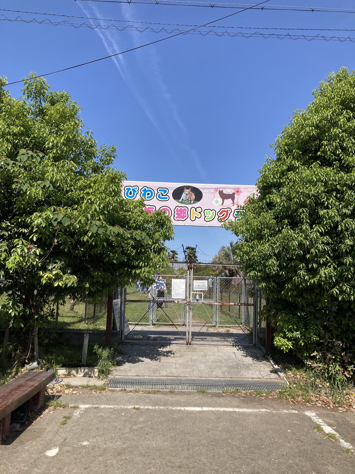 びわこ梅の郷ドッグランの実際の写真