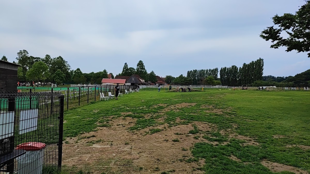 ドッグラン (滋賀農業公園 ブルーメの丘)の実際の写真