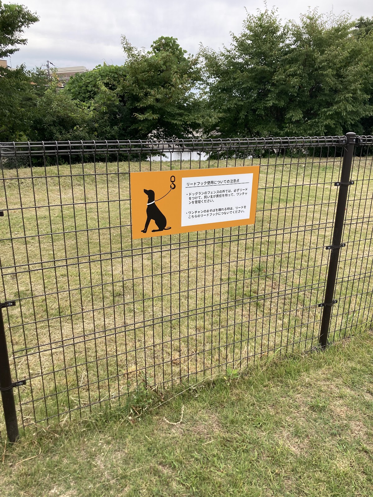 パインズドッグラン