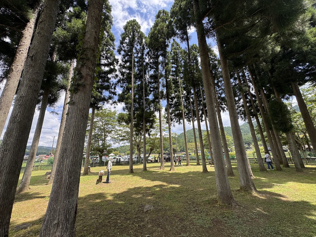 DOG PARK 山国