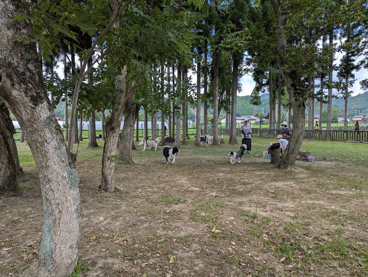 DOG PARK 山国の実際の写真