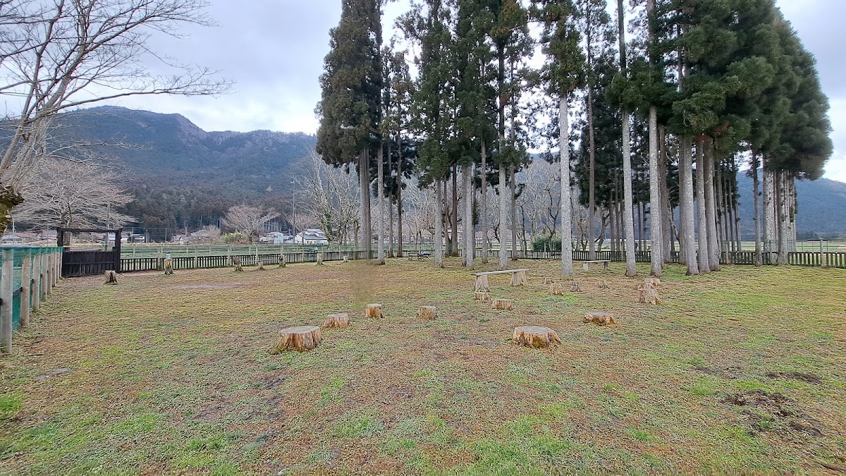 DOG PARK 山国の実際の写真
