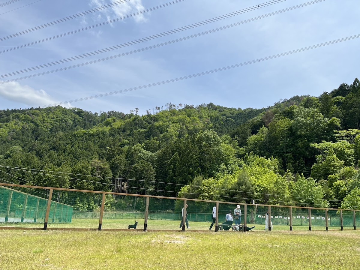 府民の森ひよし ドッグラン