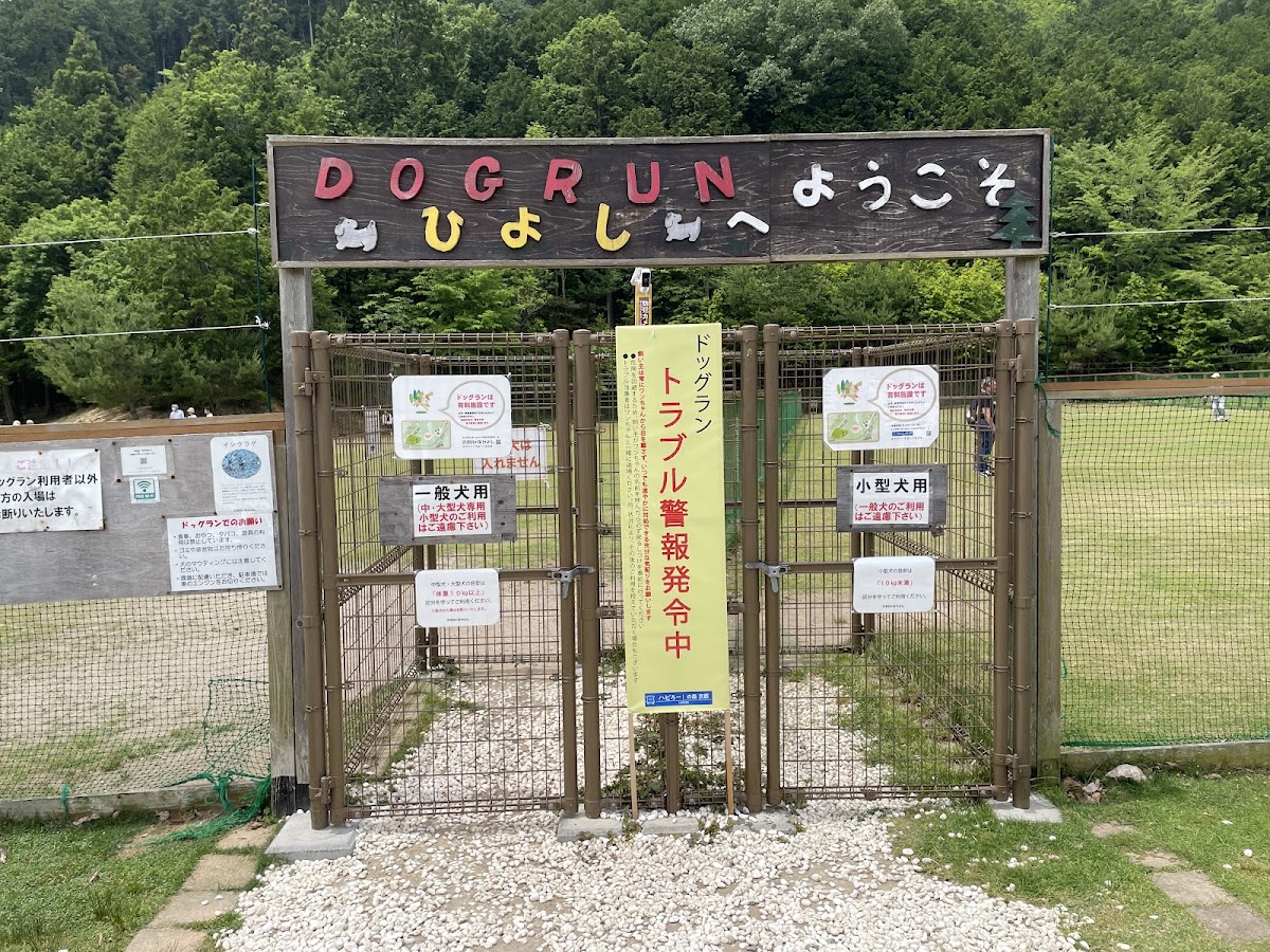 府民の森ひよし ドッグランの実際の写真