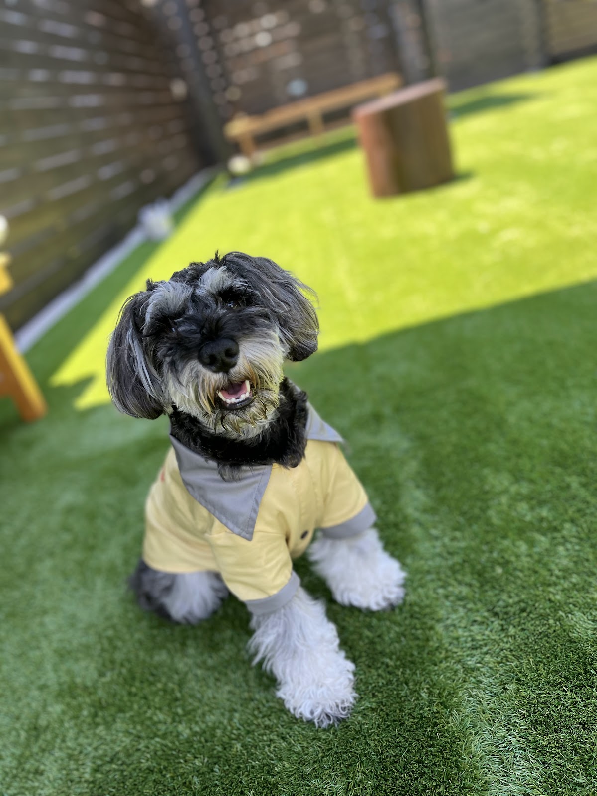 K-wood Dog Run（ケーウッド・ドッグラン）の実際の写真