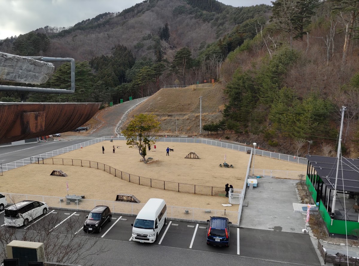 DOG RUN シーガルパークの実際の写真