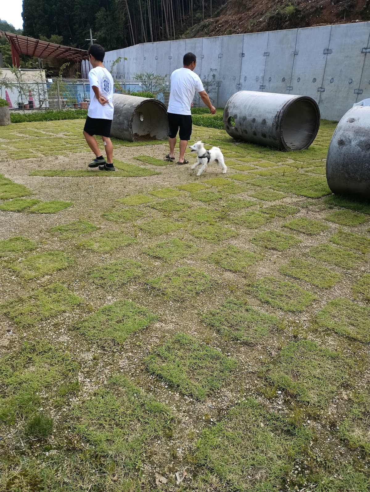 ドッグラン ラブ
