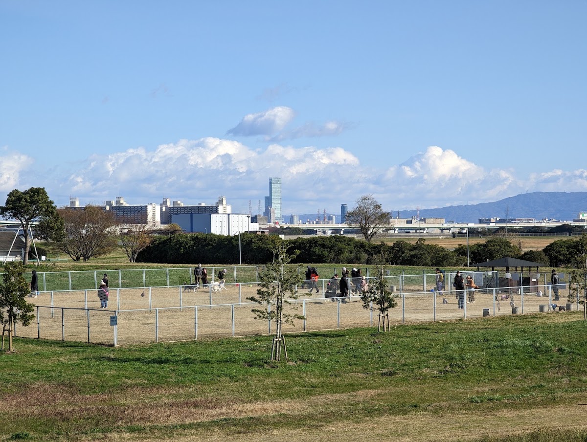 堺市海とのふれあい広場 ドッグラン