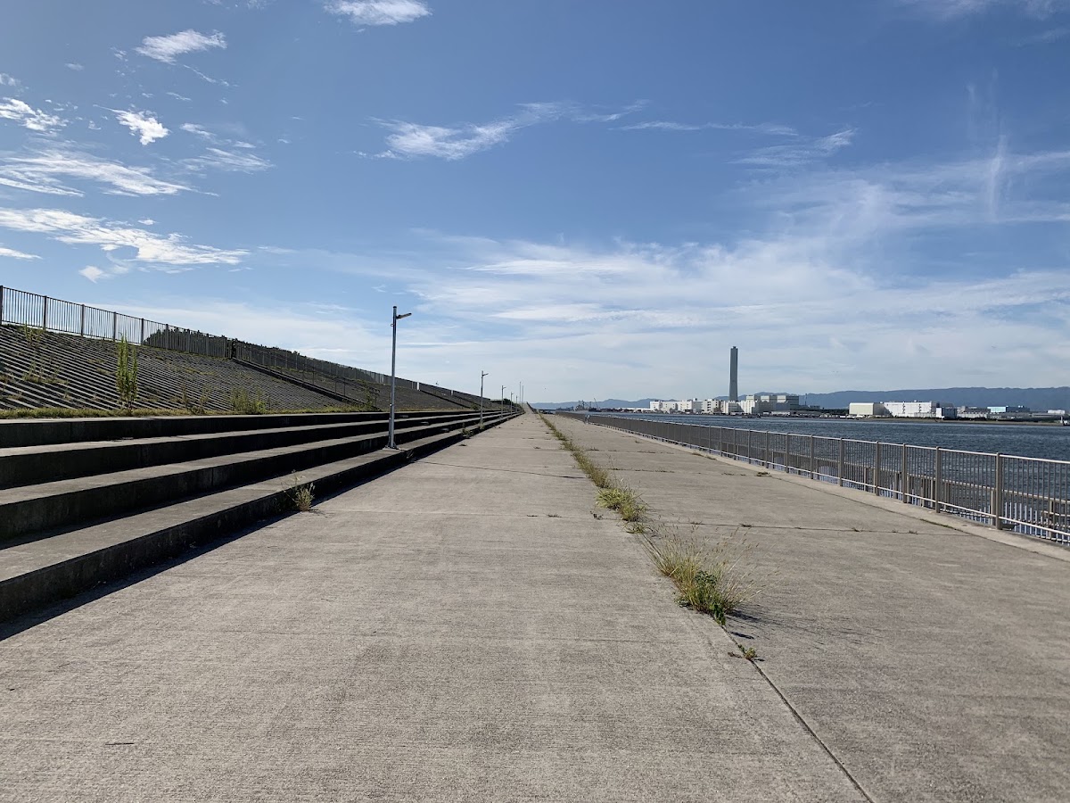 堺市海とのふれあい広場 ドッグランの実際の写真