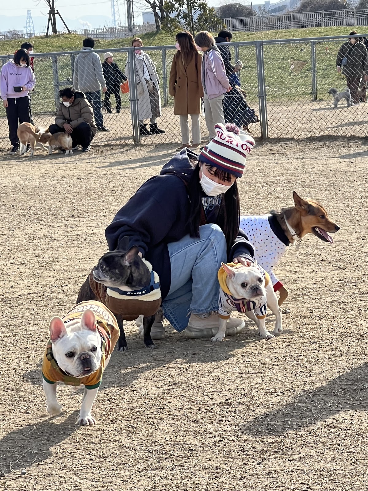 堺市海とのふれあい広場 ドッグランの実際の写真