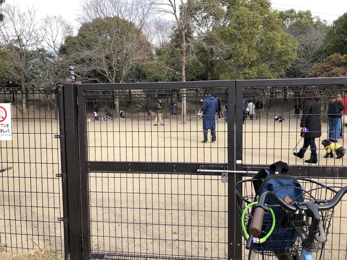 深北緑地ドッグランの実際の写真