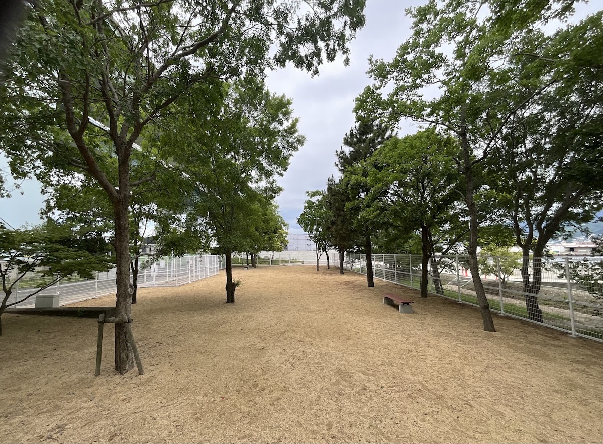 芦屋市総合公園 ドッグランの実際の写真