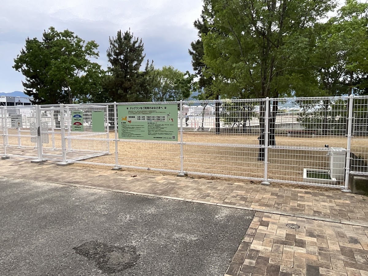芦屋市総合公園 ドッグランの実際の写真