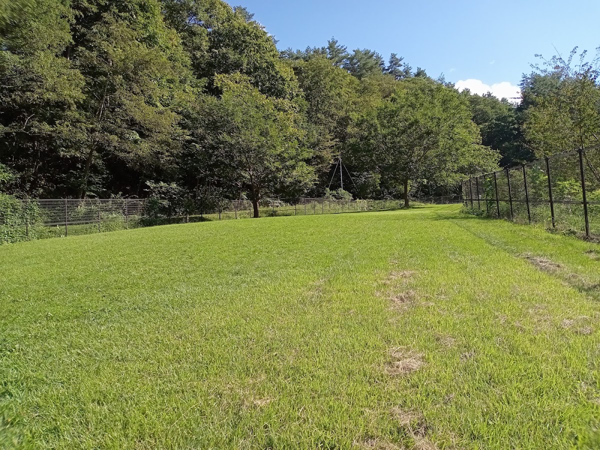 一戸町役場 総合運動公園 ドッグラン